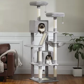 Best Large Multi-Level Cat Tree for Indoor Cats
